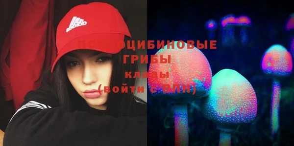 spice Алагир