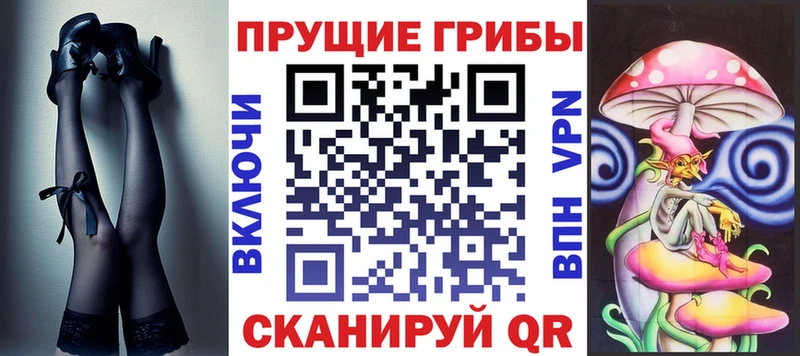 даркнет сайт  Зерноград  Псилоцибиновые грибы ЛСД 