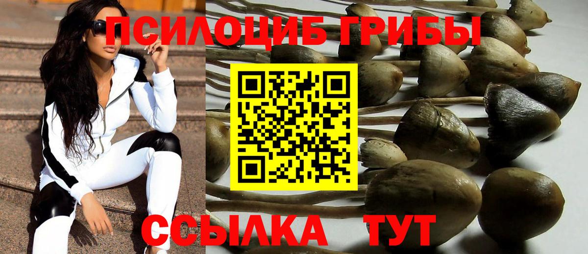 Галлюциногенные грибы MAGIC MUSHROOMS  Вход с VPN  Зерноград  Псилоцибиновые грибы ЛСД 