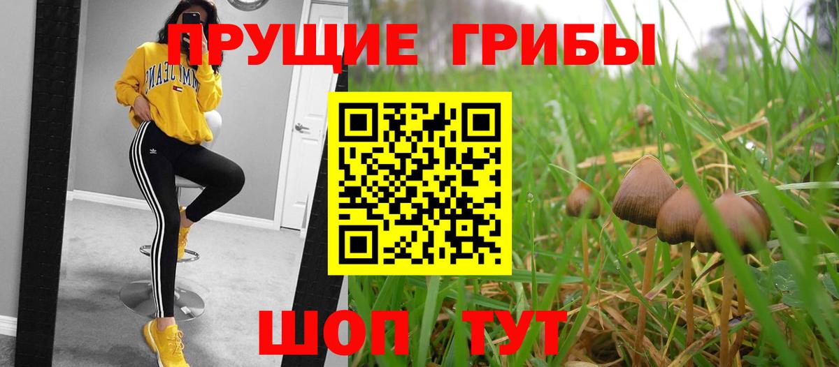 МЕФ  Кокаин  Ляпка  Бошки Шишки  Вход с VPN  Зерноград  Хэш  Где найти наркотики? 
