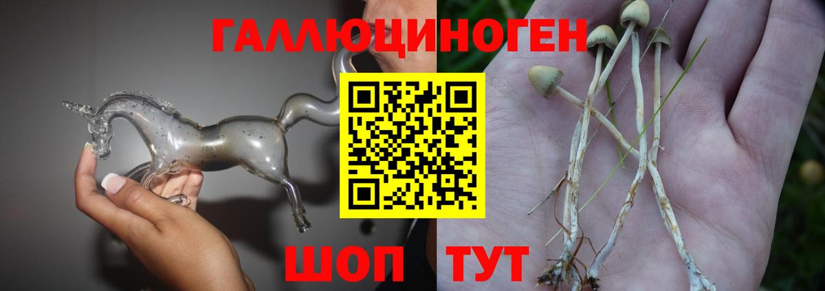 Галлюциногенные грибы MAGIC MUSHROOMS  Зерноград 